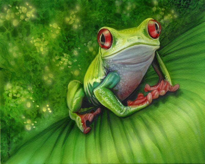 Feeling Froggy by Monte Moore