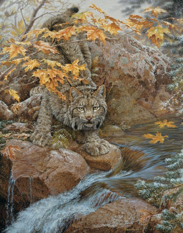 First Fall—Lynx by Lee Kromschroeder