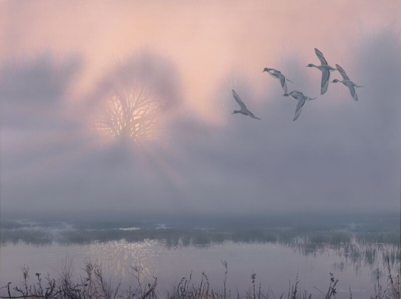 First Light—Pintails by Peter Mathios