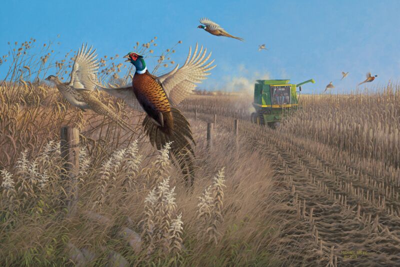 Flying Colors-Pheasants by Michael Sieve