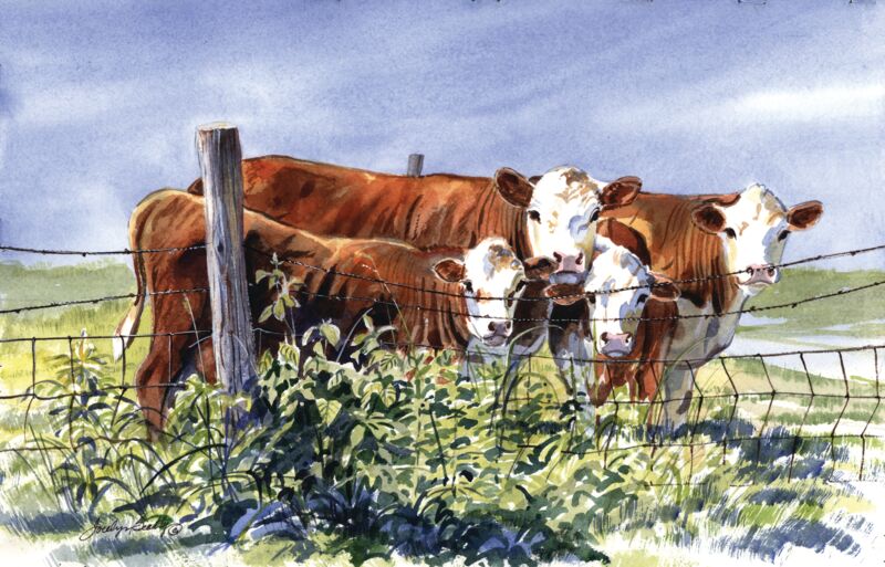 Four Cows by Jocelyn Beatty