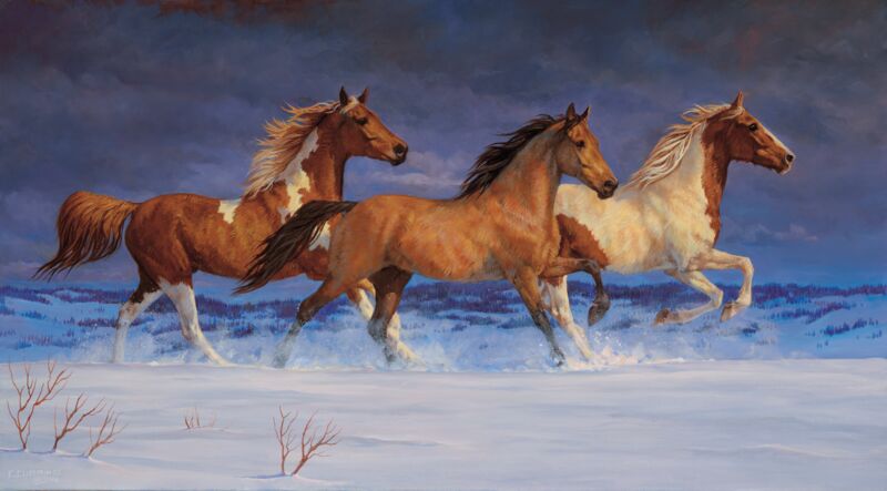 Freedom-Horses by Chris Cummings