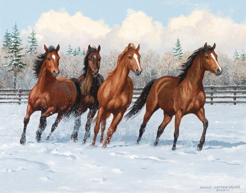 Frisky Four—Horses by Persis Clayton Weirs