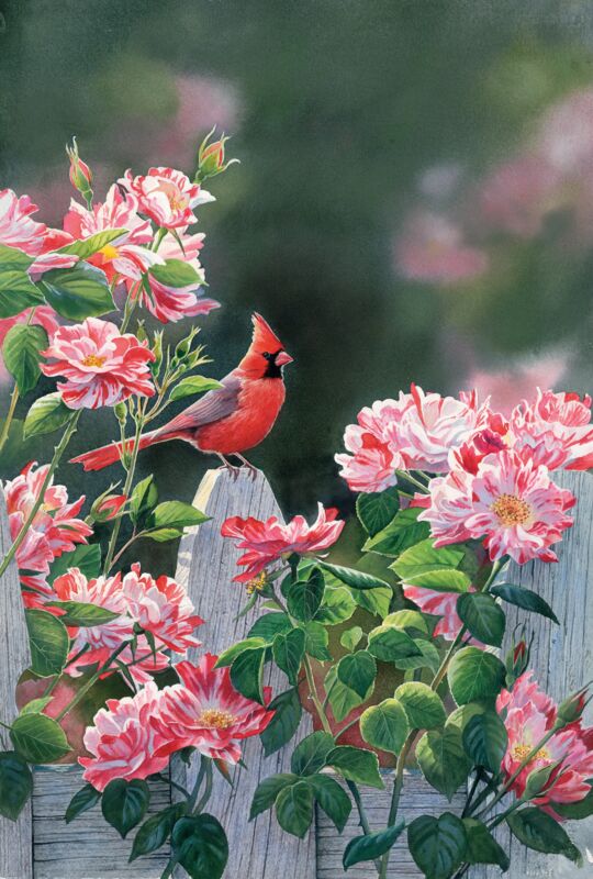 Garden Gateway—Cardinal by Susan Bourdet