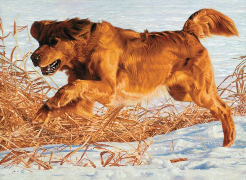 Golden Retriever by John Aldrich