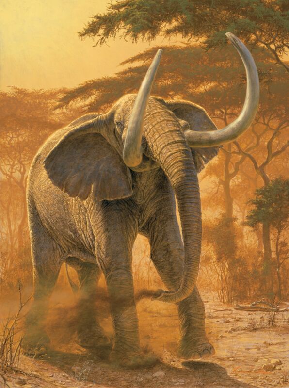 Golden Warrior—Elephant by Lee Kromschroeder