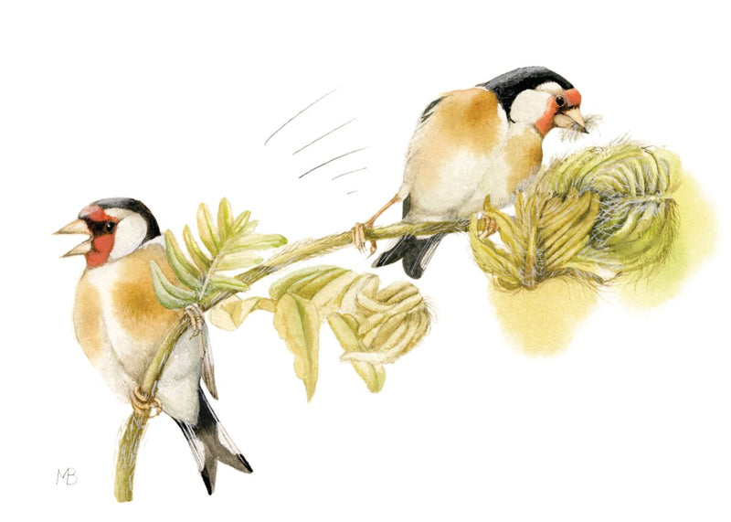 Goldfinches on Fern