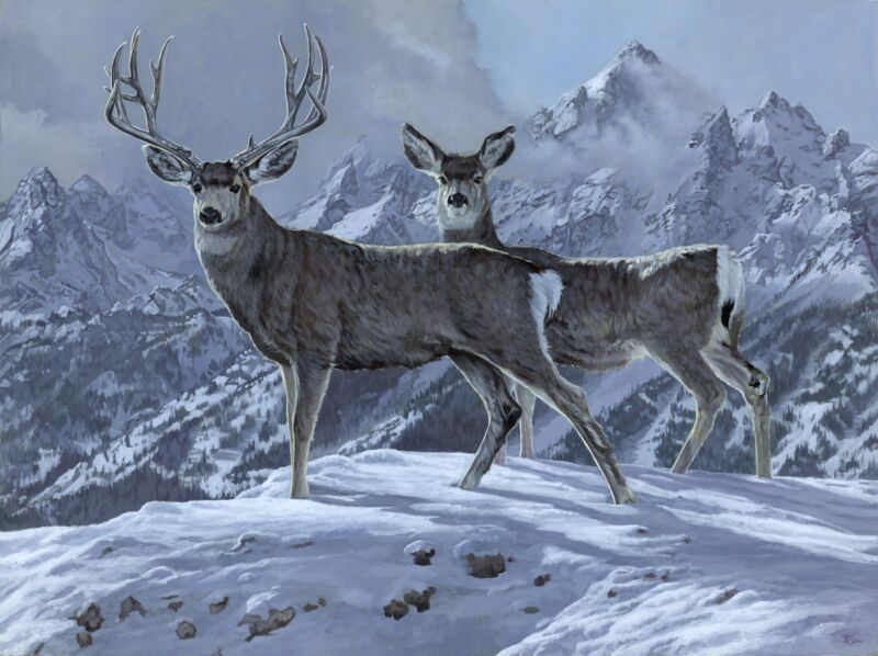 Grandeur—Mule Deer by Jon Ren