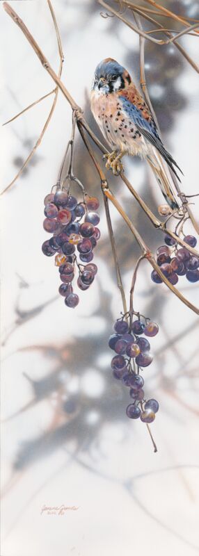 Grape Expectations by Janene Grende