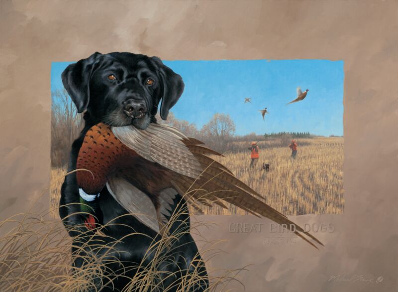 Great Bird Dogs—Black Lab by Michael Sieve