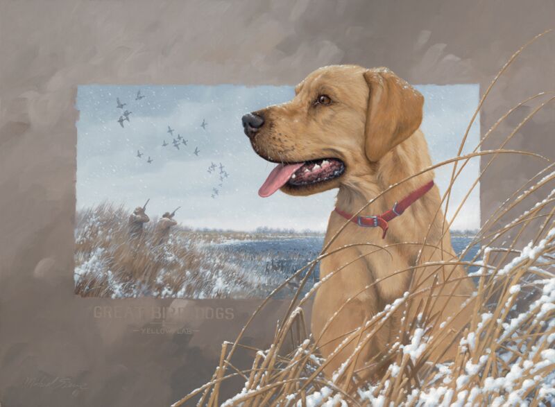 Great Bird Dogs-Yellow Lab by Michael Sieve