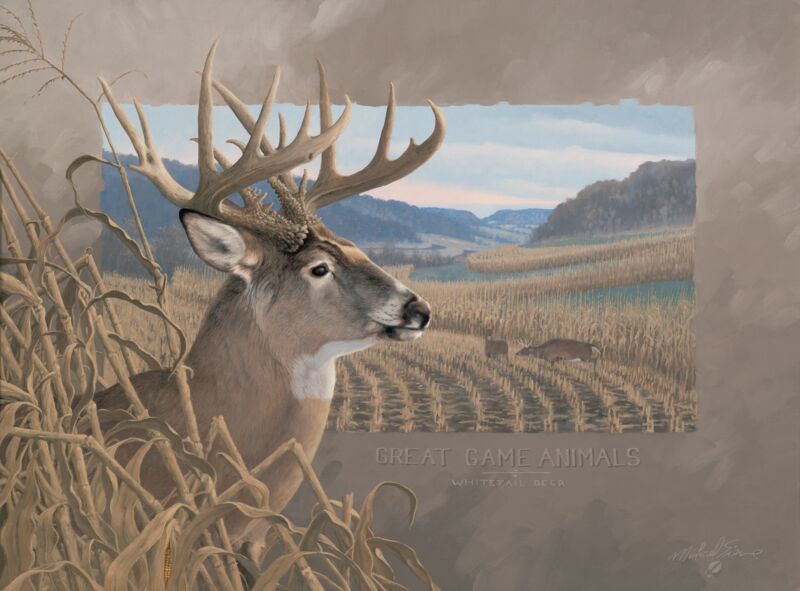 Great Game Animals - Whitetail Deer by Michael Sieve