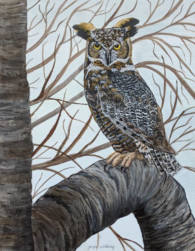 Great Horned Owl in Trees by Joyce Wilking