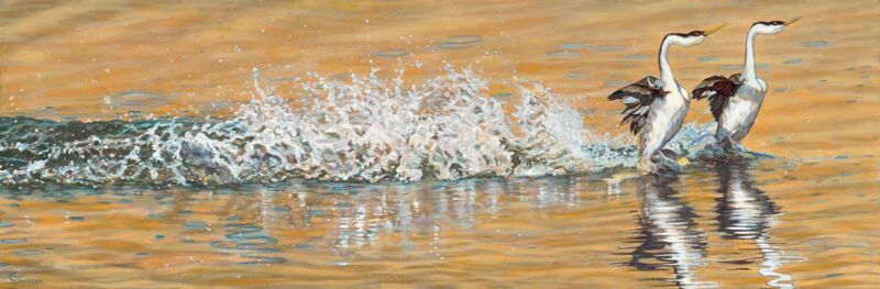 Grebe Ballet by Gary Johnson