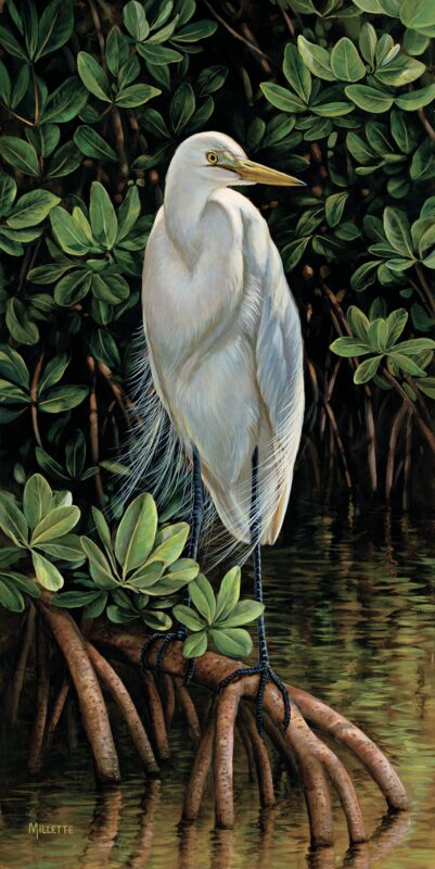 Gulf Breezes—Great Egret by Rosemary Millette