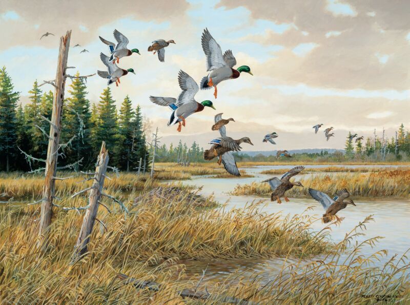 Hidden Pond—Mallards by Persis Clayton Weirs