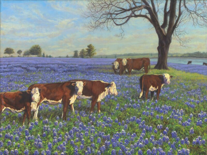 Herefords & Blue Bonnets by Gary Johnson