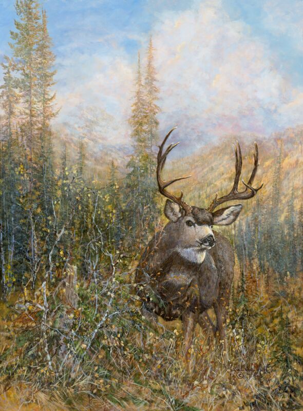 High Country Gentry—Mule Deer by Valeria Yost