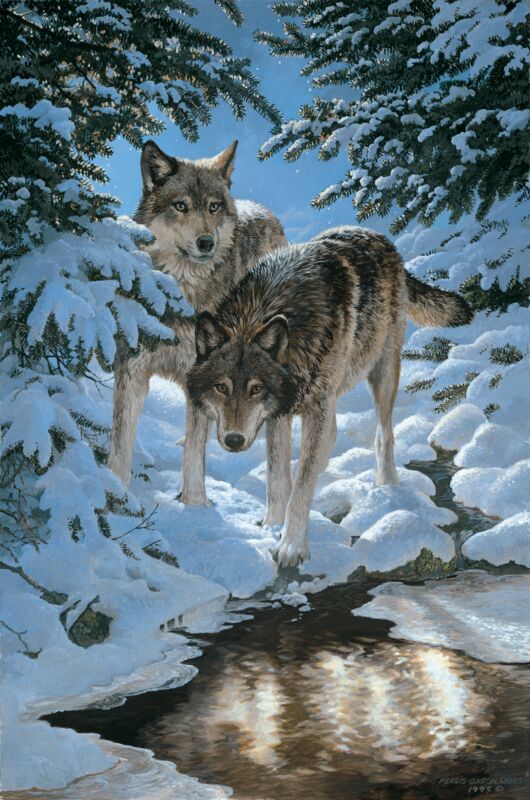 Icy Dawn-Gray Wolves by Persis Clayton Weirs