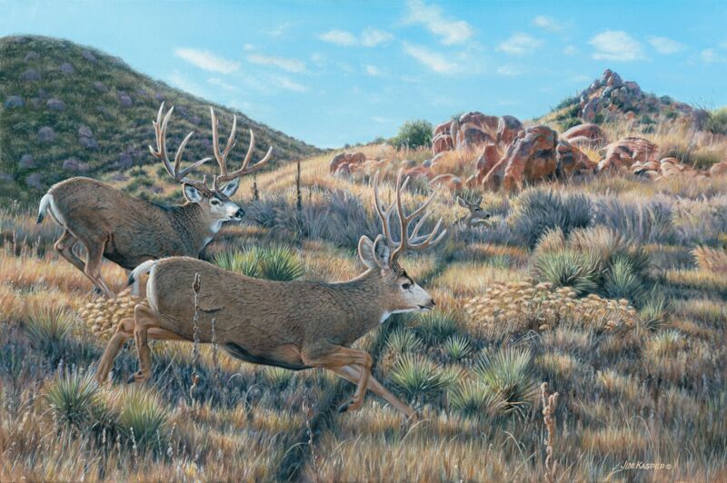 In Pursuit—Mule Deer by Jim Kasper