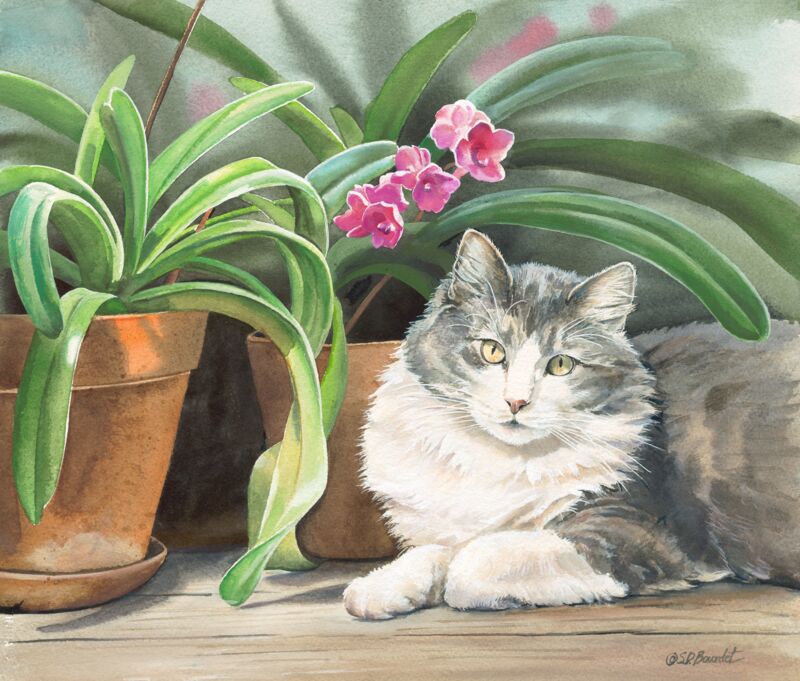 In The Greenhouse—Cat by Susan Bourdet