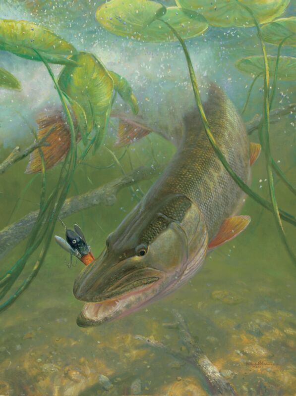 In the Thick of It—Muskie by Mark A Susinno