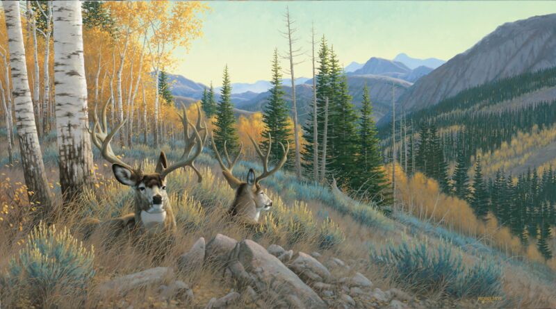 Indian Summer—Mule Deer by Michael Sieve