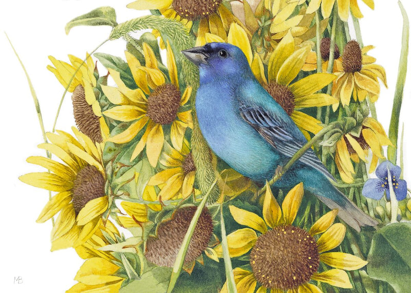 Indigo Bunting