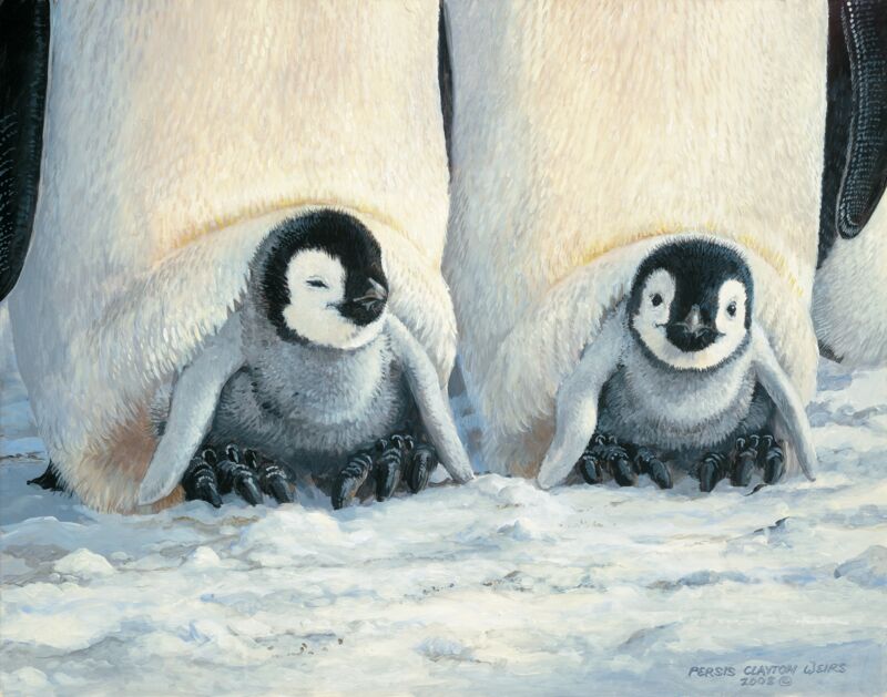 Keeping Warm—Penguins by Persis Clayton Weirs