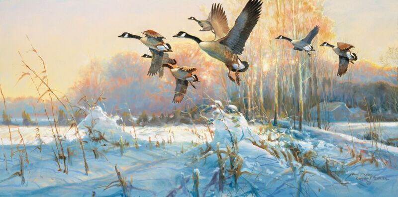 Late Departure—Canada Geese by Greg Messier