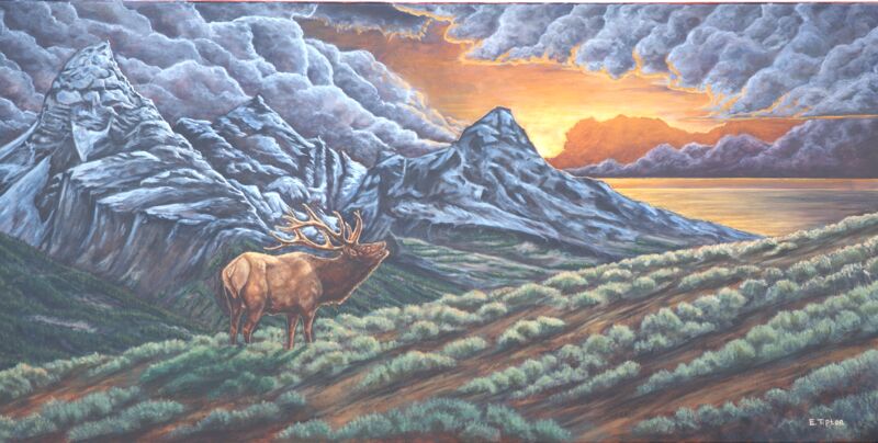 Lonesome Elk by Eddie Tipton