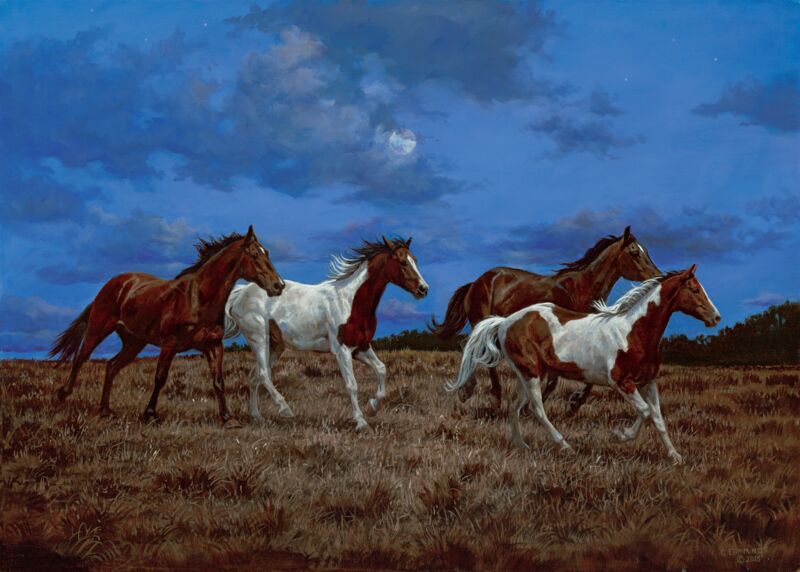 Moonlight Run—Horses by Chris Cummings