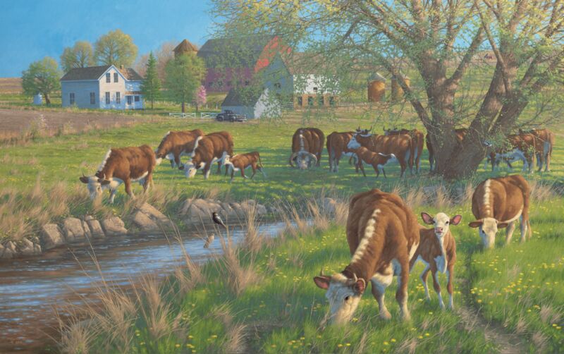 Mother's Day—Cows by Michael Sieve