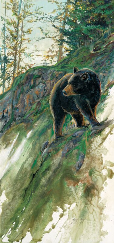 On the North Side—Bear