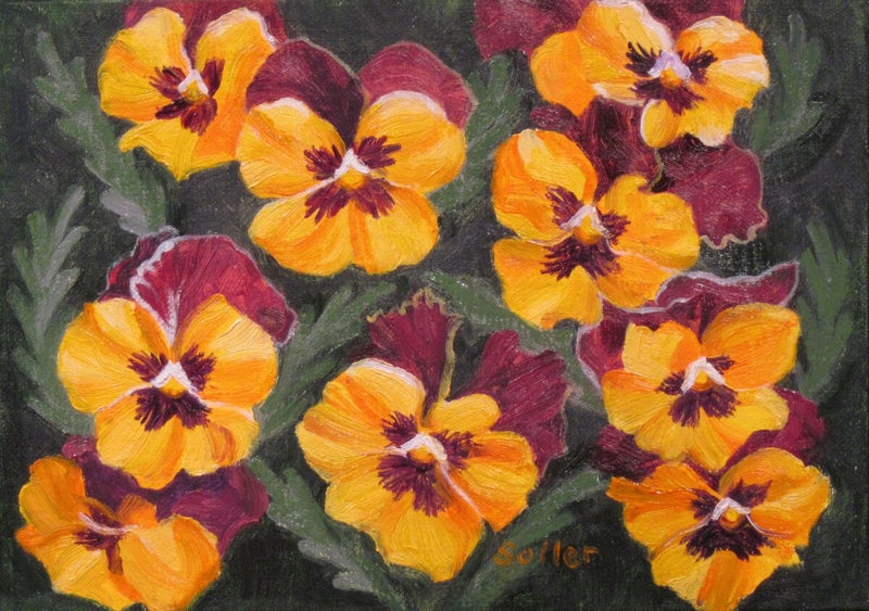 Pansies Are For Thought