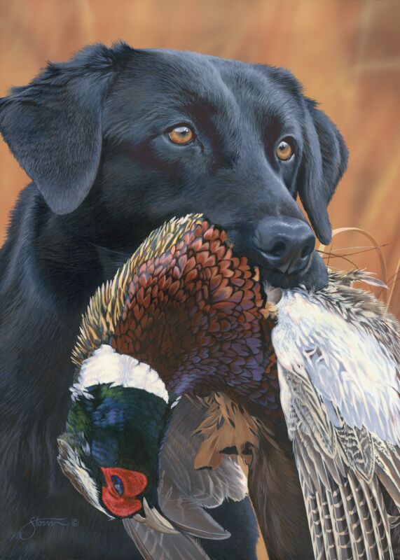 Prize Possession—Black Lab