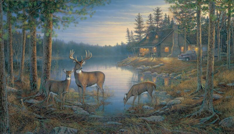 Quiet Places—Whitetail Deer