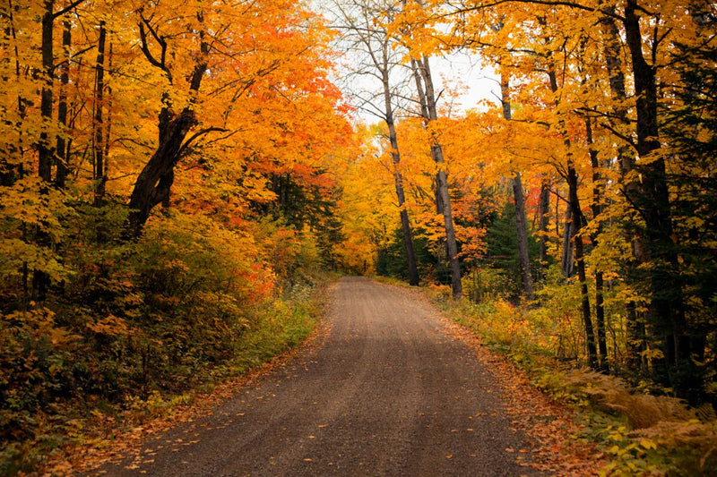 Round the Bend