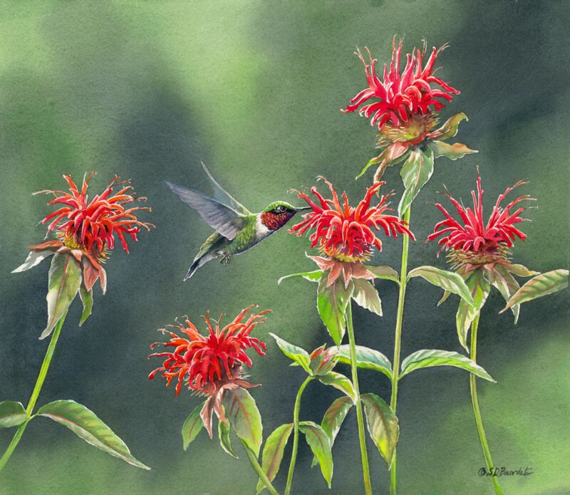 Ruby on the Wing