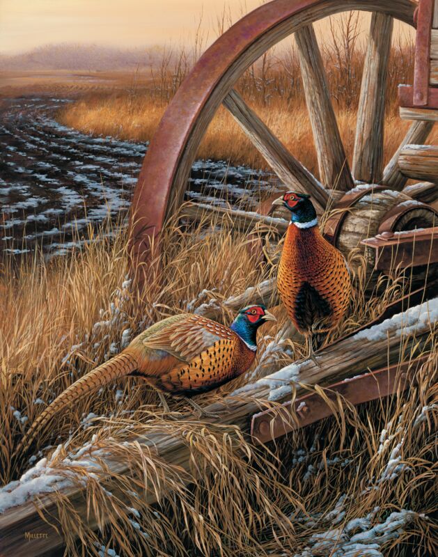 Rustic Outlook—Pheasants