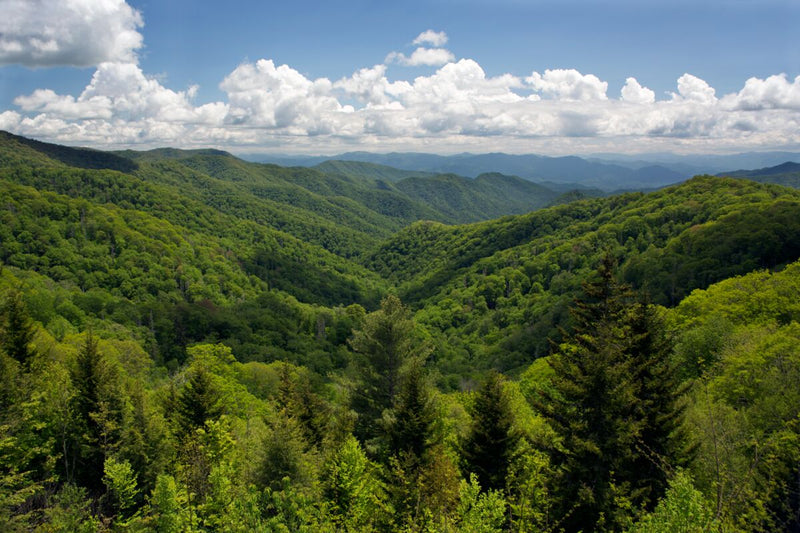 Smoky Mountains