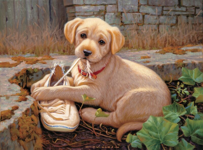 The Missing Shoe - Yellow Lab