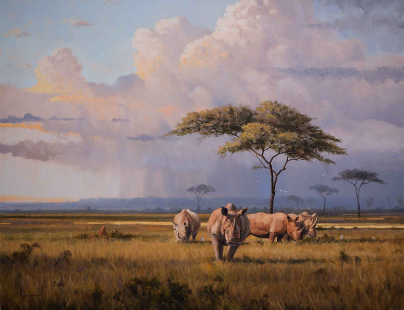 The Plains Of Africa