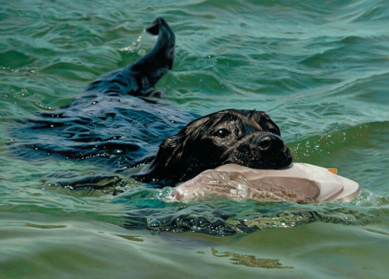 Training Day—Black Lab