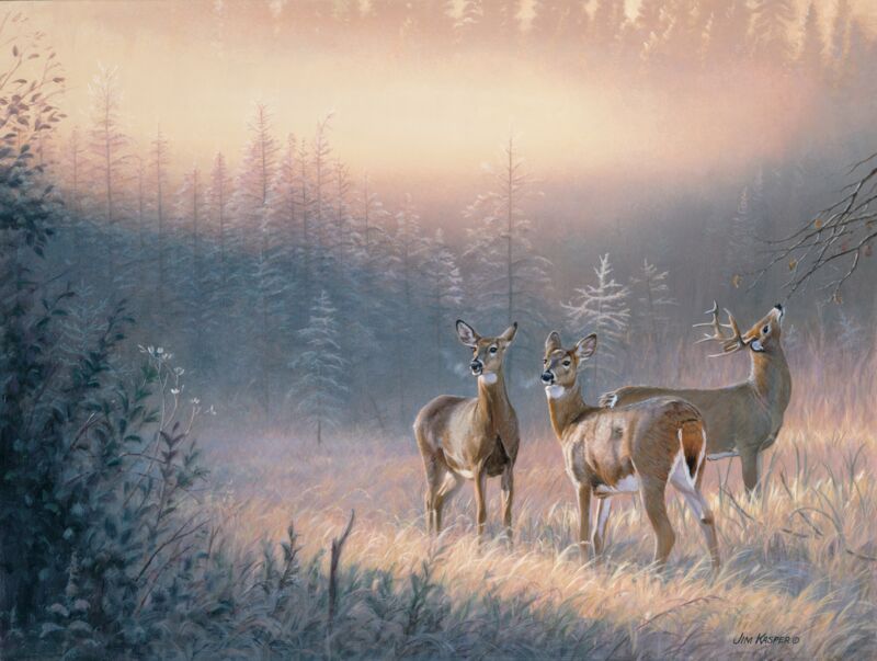 Trio of Whitetail