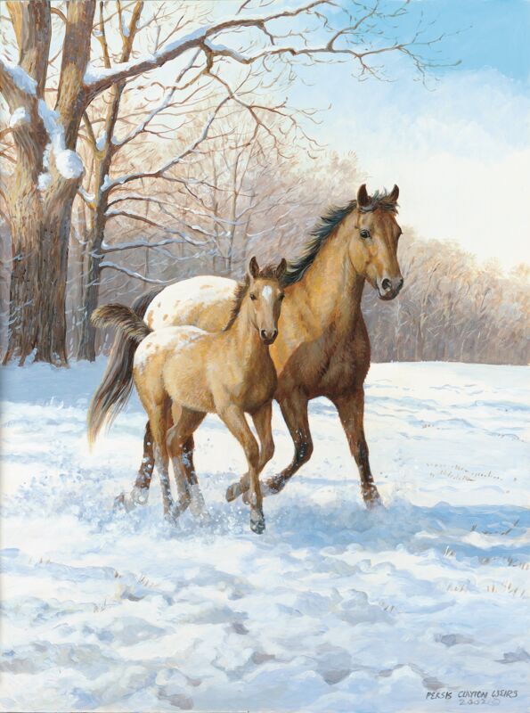 Warming Up—Horses