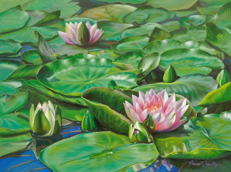 Water Lilies