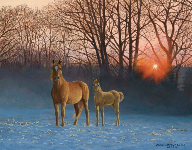 Winter Dawn—Horses