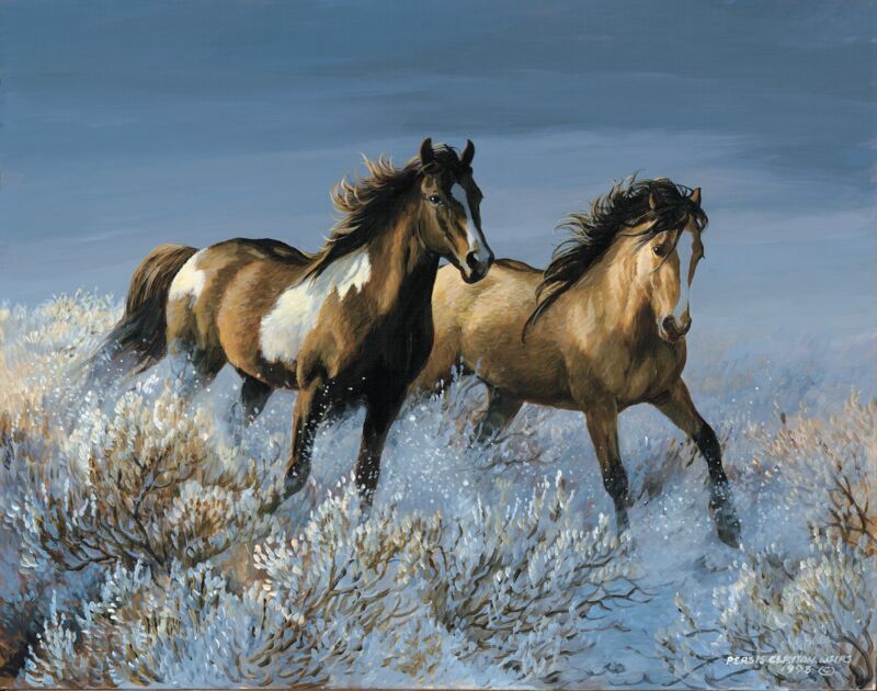 Winter Sage—Horse