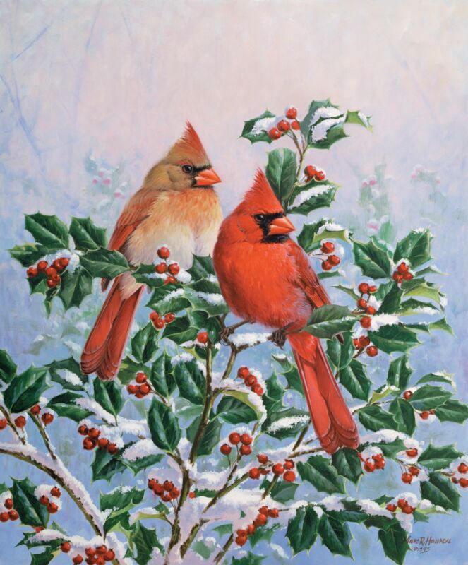 Winter's Splendor—Cardinals